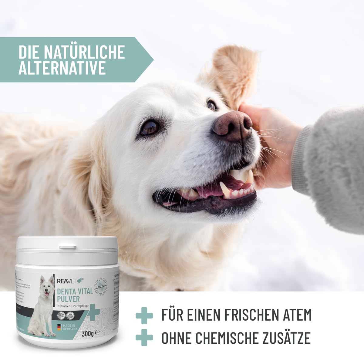 ReaVET Denta Vital Zahnpflege Pulver Hund & Katzen 300g - Zahnsteinentferner, Mittel gegen Zahnstein Hund Katze I Gegen Mundgeruch bei Hunden, Zahnpflege Katzen