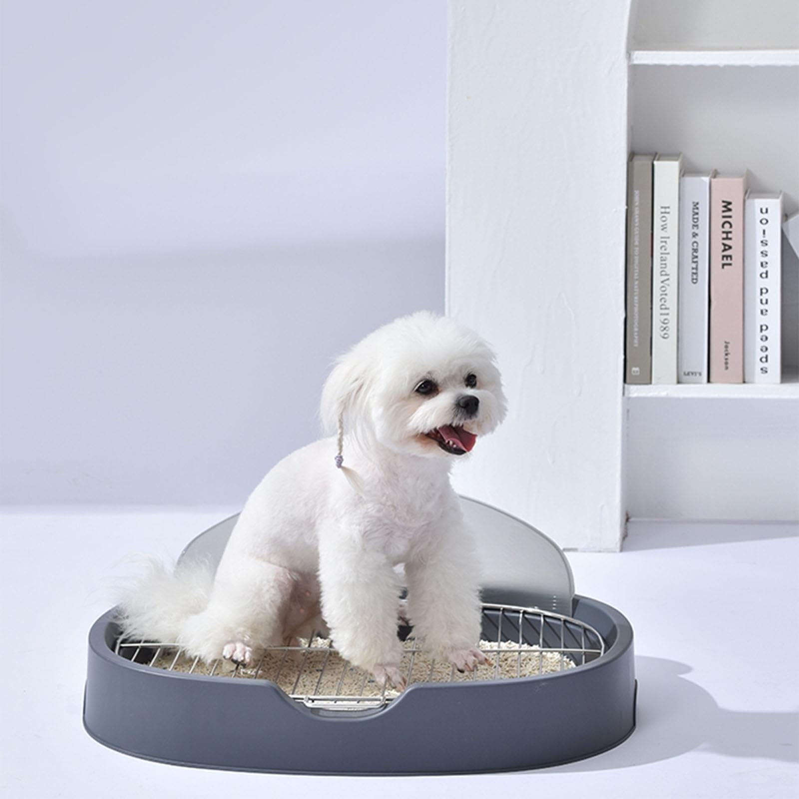 Vaschetta Igienica Ovale per Cani con Paraspruzzi