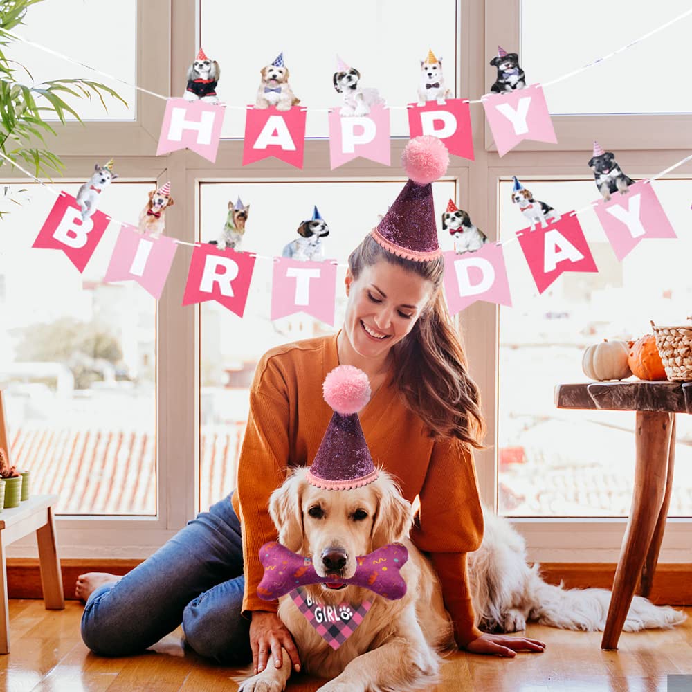 Hunde-Geburtstags-Bandana 'Birthday Girl' – 66 X 30,5 Cm, Baumwolle, Für Kleine/mittelgroße Hunde