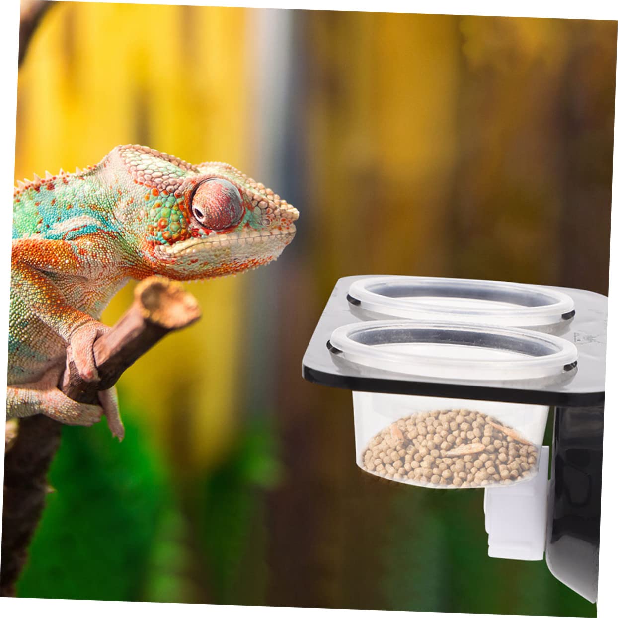 BESPORTBLE 4 Juegos Tazón De Reptil Comida De Gecko Crestado Plato De Agua De Reptil Suministros para Tanques De Reptiles Dispensador De Agua para Reptiles Tanque De Tortuga El Plastico Black