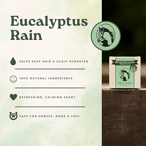 Miniatura 5 de Kensington Barra de champú con proteína de agua de arroz y VIT B5, paquete de 3  Eucalyptus Rain 3 onzas