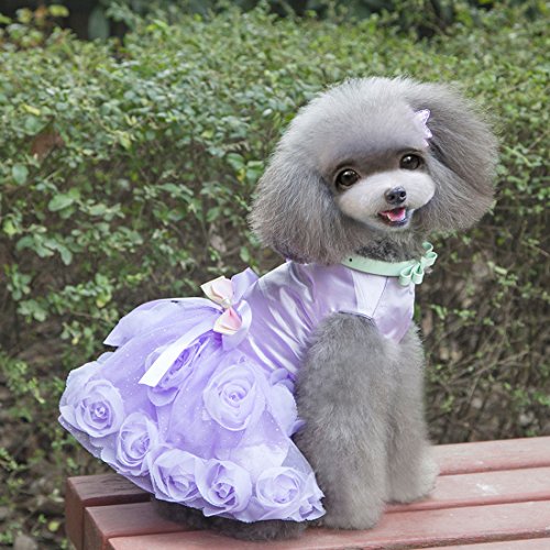 Vestito per cani, in cotone, per l'estate, tutù