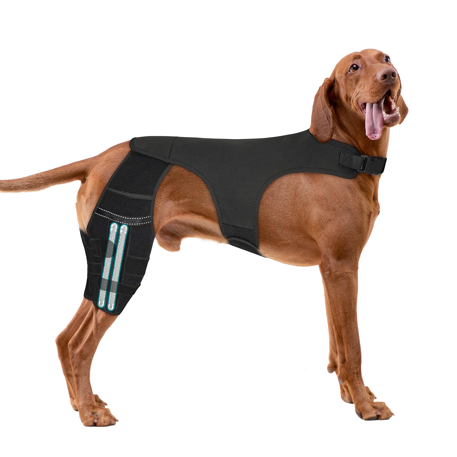 GoGoPaw Dual Hind Leg Brace