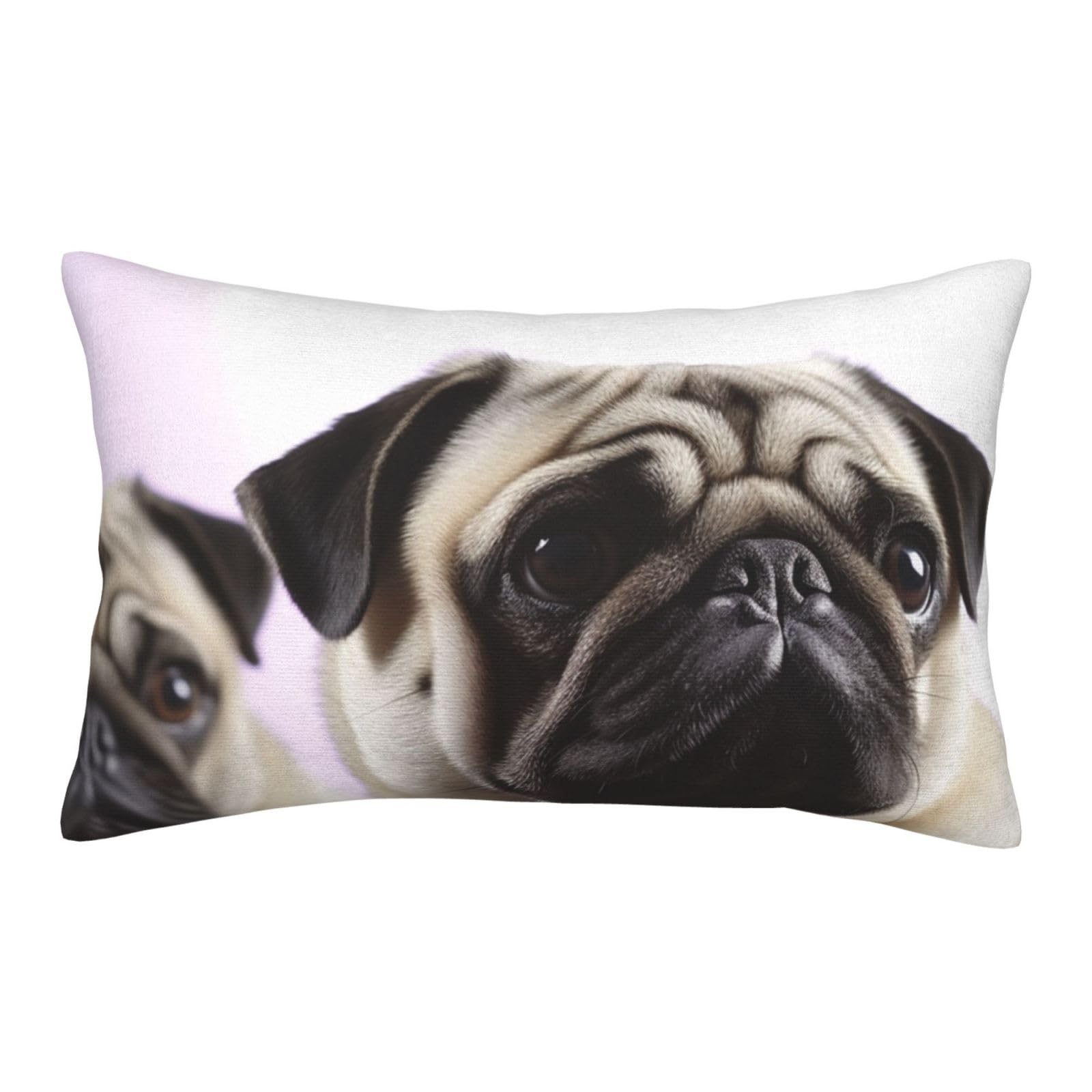 Velvet Pillowcases 20"x30" Ultra Soft Breathable Pillow Cases, Luxury Fuzzy Throw Pillow Covers with Zipper, Pug Dog Pillow Shams All Seasons Decorative Cushion Cases for Couch