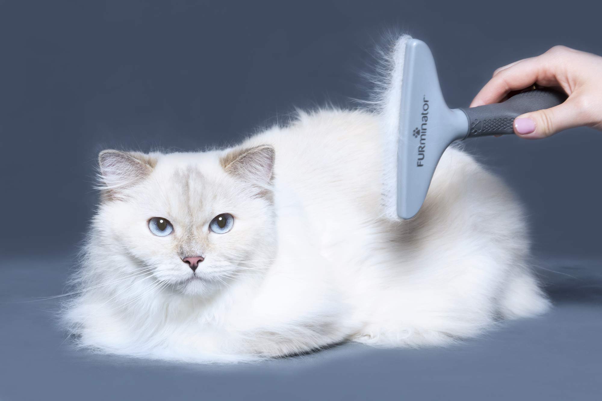 Furminator Verstellbarer Entfilzer für Hunde und Katzen & Harkenkamm für langhaarige Hunde und Katzen - Bürste zur Vorbeugung von Knoten und verfilzten Haaren