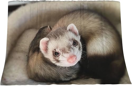 Miniatura 3 de Hcokrzt Mantas y mantas Sloth Follow Your Dreams de franela mullida de felpa para niños, niñas y mujeres, dormitorio, sofá, oficina, sofá de 60 x 50