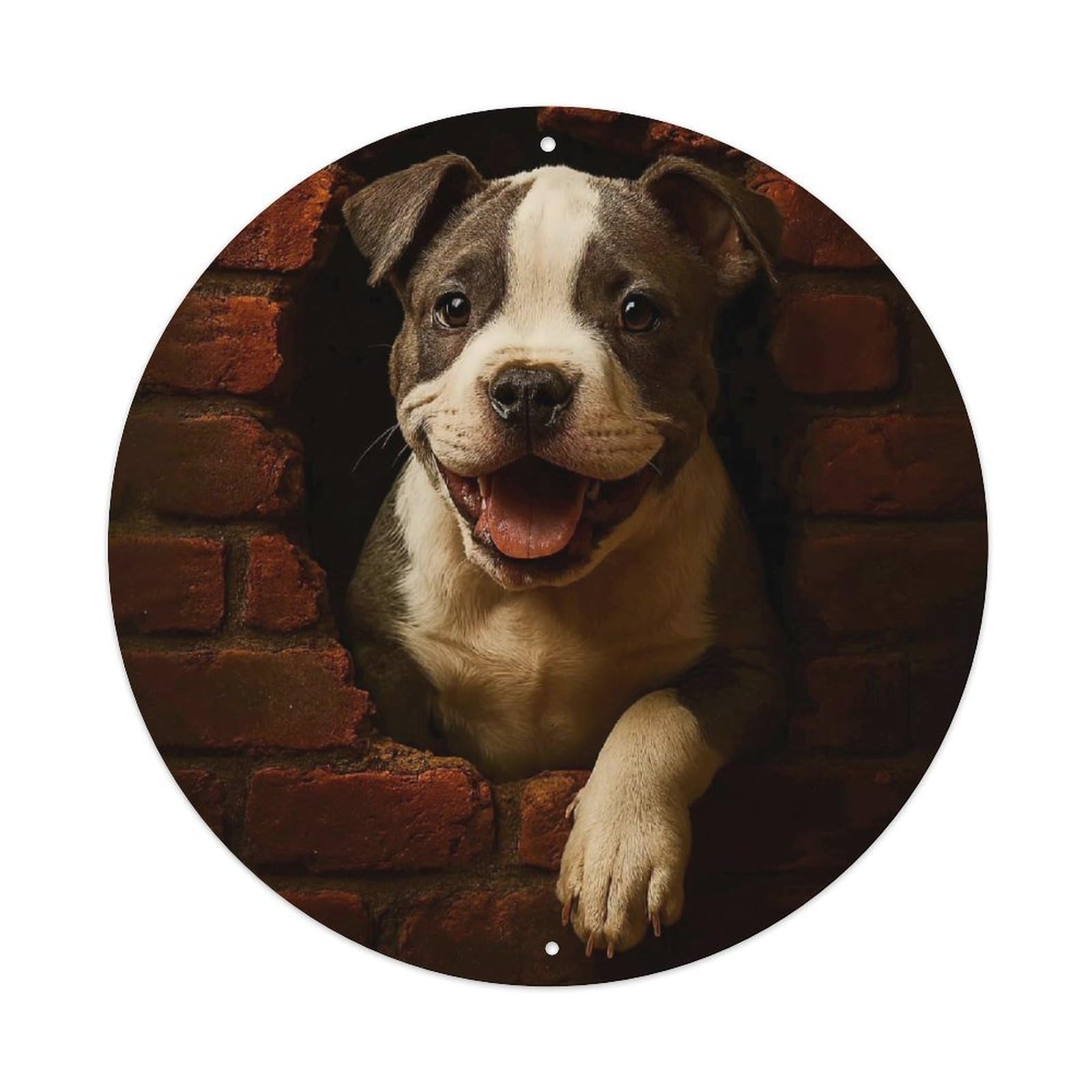 Animal Staffordshire Bull Terrier Puppy Peeking from Brick Wall Vintage Metal Tin Sign Plaque Wall Decor for Cafe, Club Bar, Office, Garden Metal Poster 8x8Inch