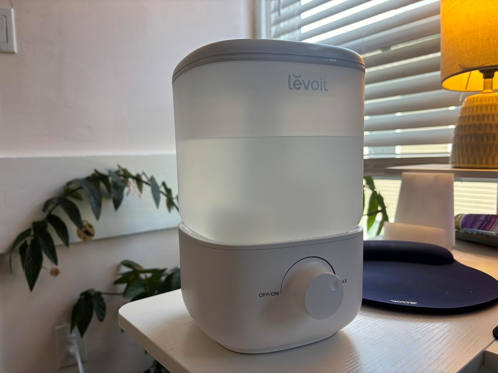 Levoit Humidifier in use