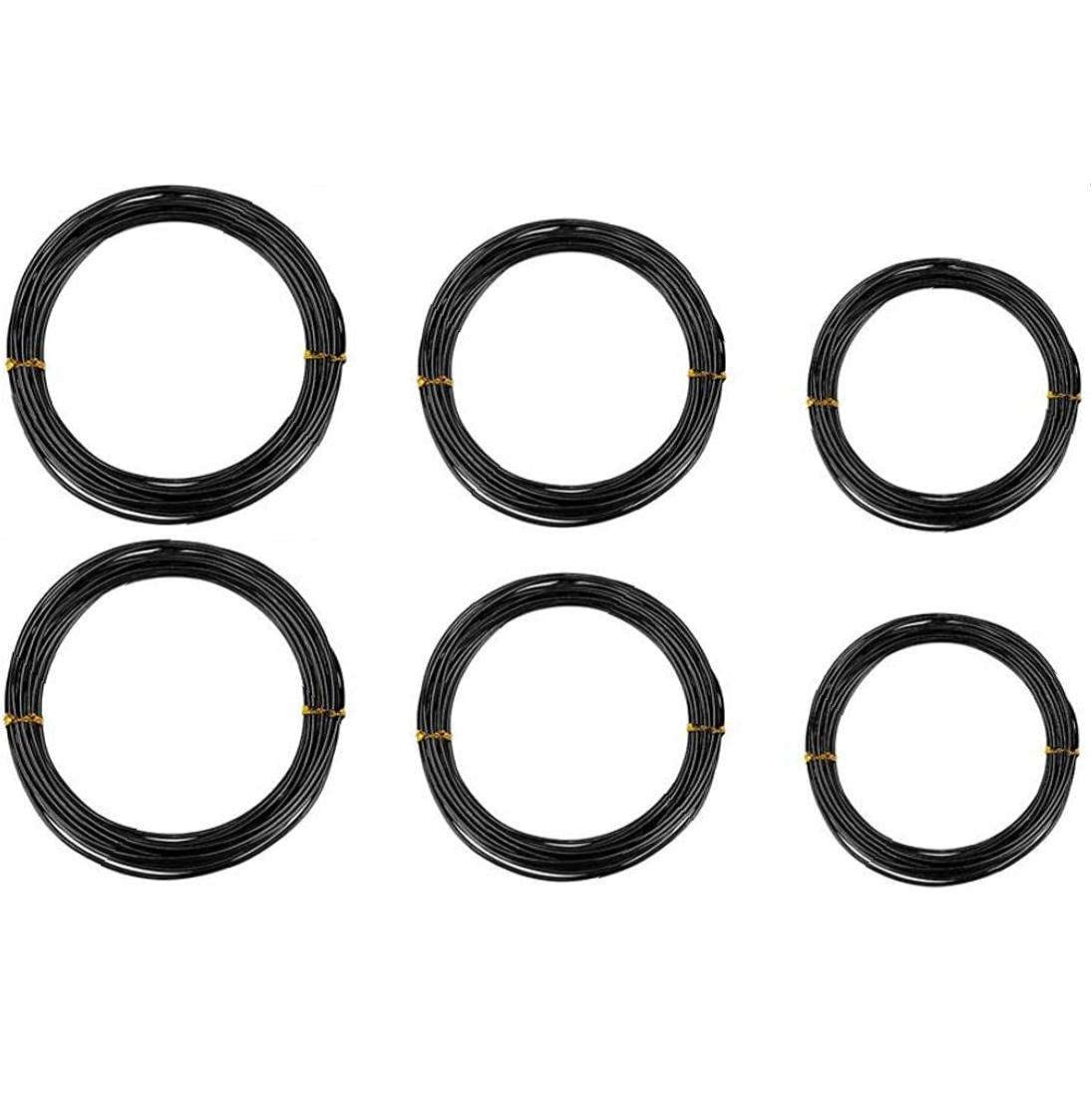 TOSSPER 6roll 5m Aluminium Bonsai Training Wire, 1.0mm, 1.5mm, 2.0mm Garden Wire for Shaping Bonsai Tree