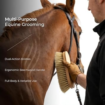 ZenithGroom - Dual Bristle Horse Dandy Brush for Grooming Deep Clean Mud Removal & Coat Shine in One, Stiff Inner Core & Soft Outer Bristles, Beechwood Handle, Professional Equine Body Brush