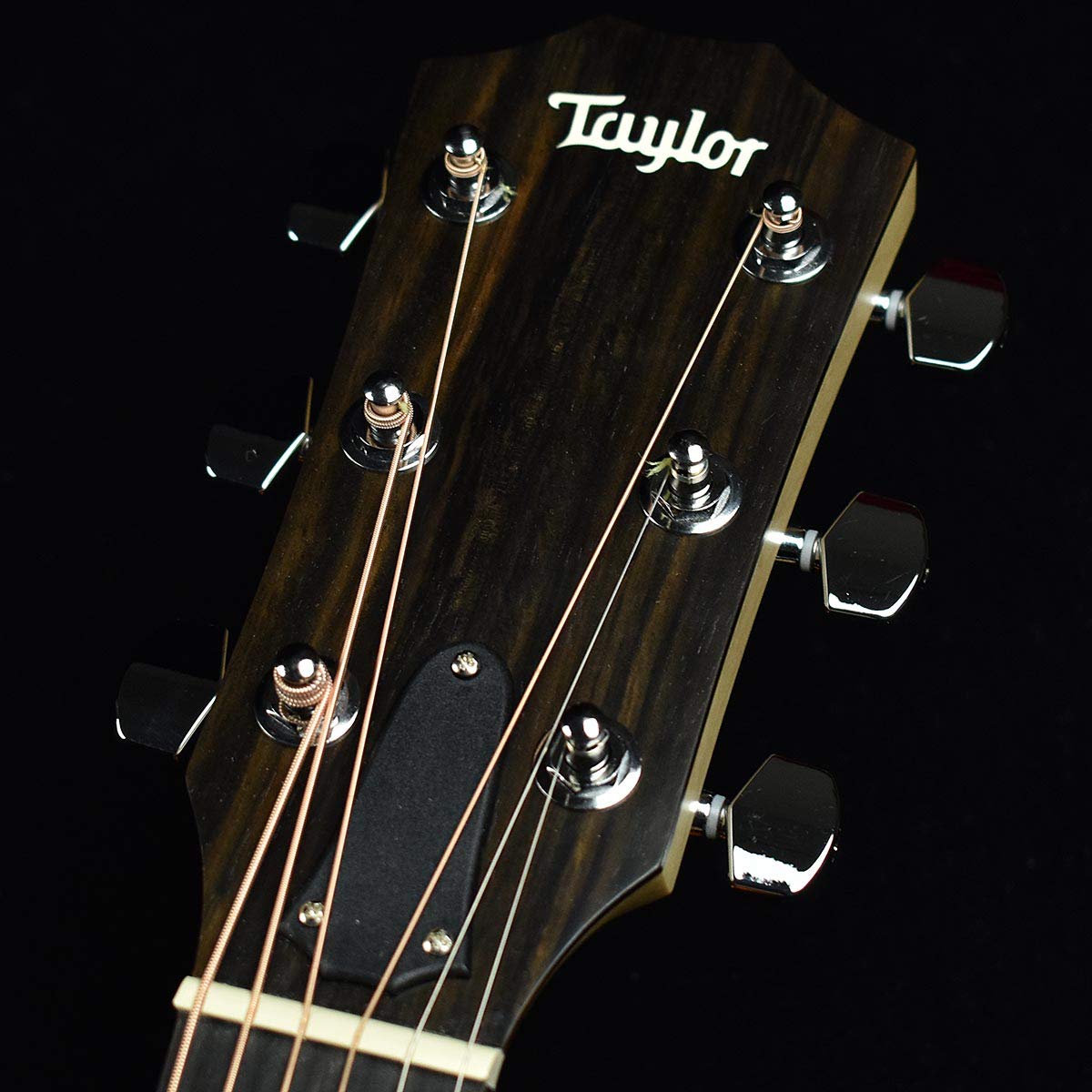 Amazon | Taylor LTD EG Academy 12e S/N：2210080086