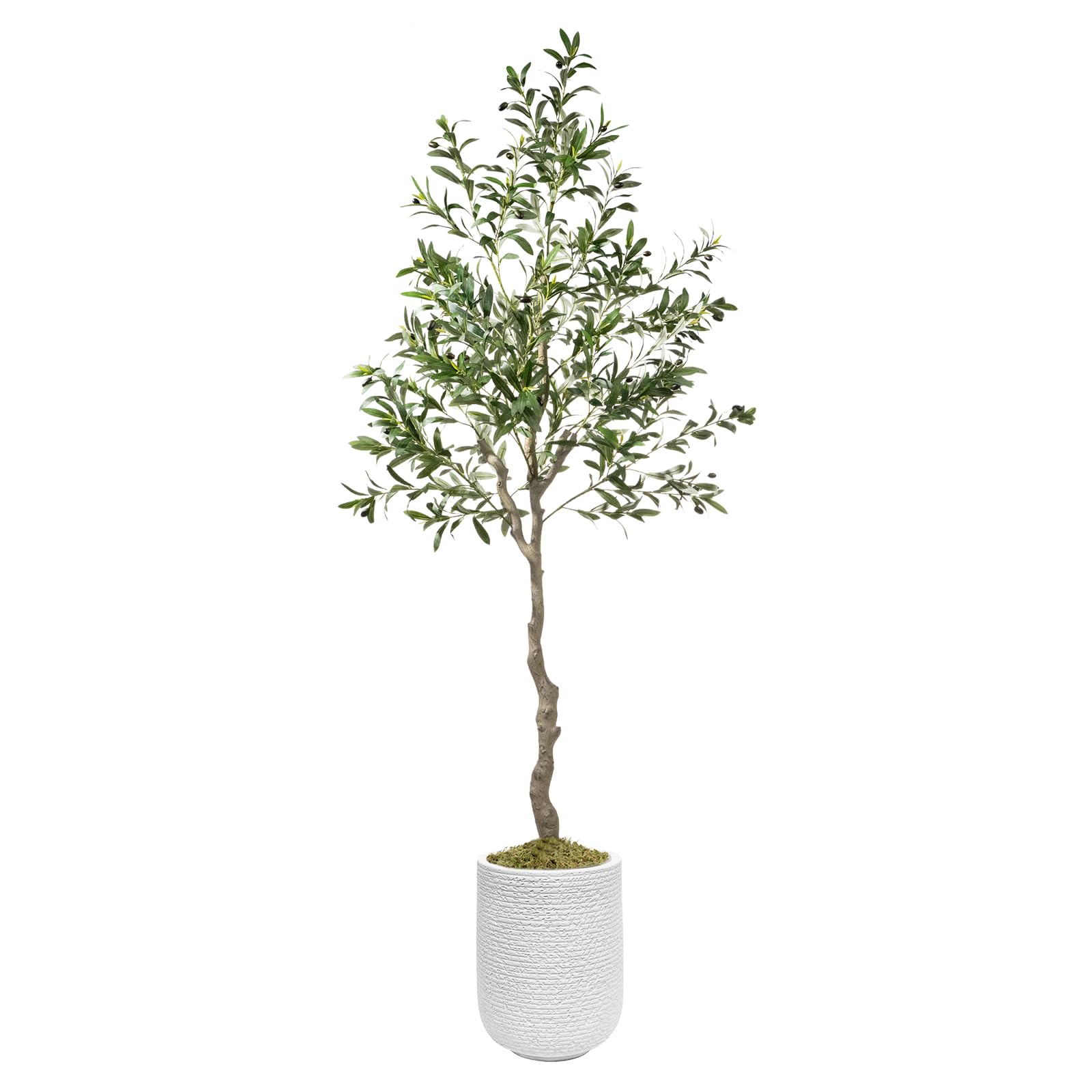 Faux Olive Tree 7ft,Olive Trees Artificial Indoor with Natural Wood Trunk and Lifelike Fruits, 7 Feet Fake Olive Tree with White Planter and Fake Moss
