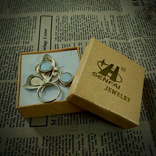 Abalone Paua Shell Butterfly Magnet Crystal Brooch Eyeglass Holder3