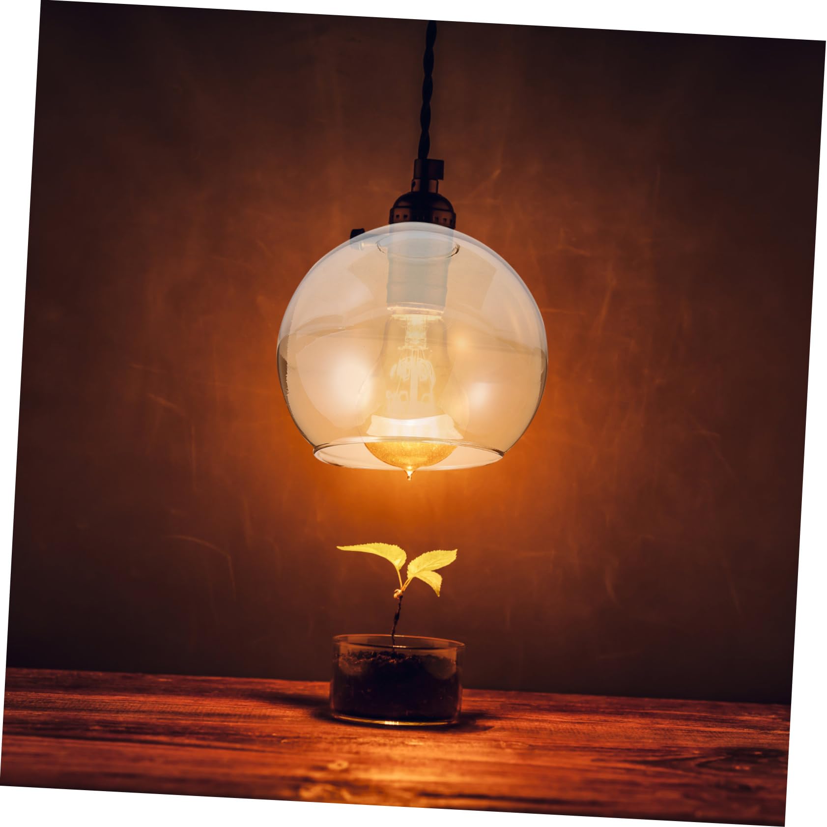 Luxshiny Paralume in Vetro Trasparente 6 Pollici Ricambio Per Lampada a Sospensione E27 Copertura Paralume Sfera Per Illuminazione Interni E Atmosfera Accogliente