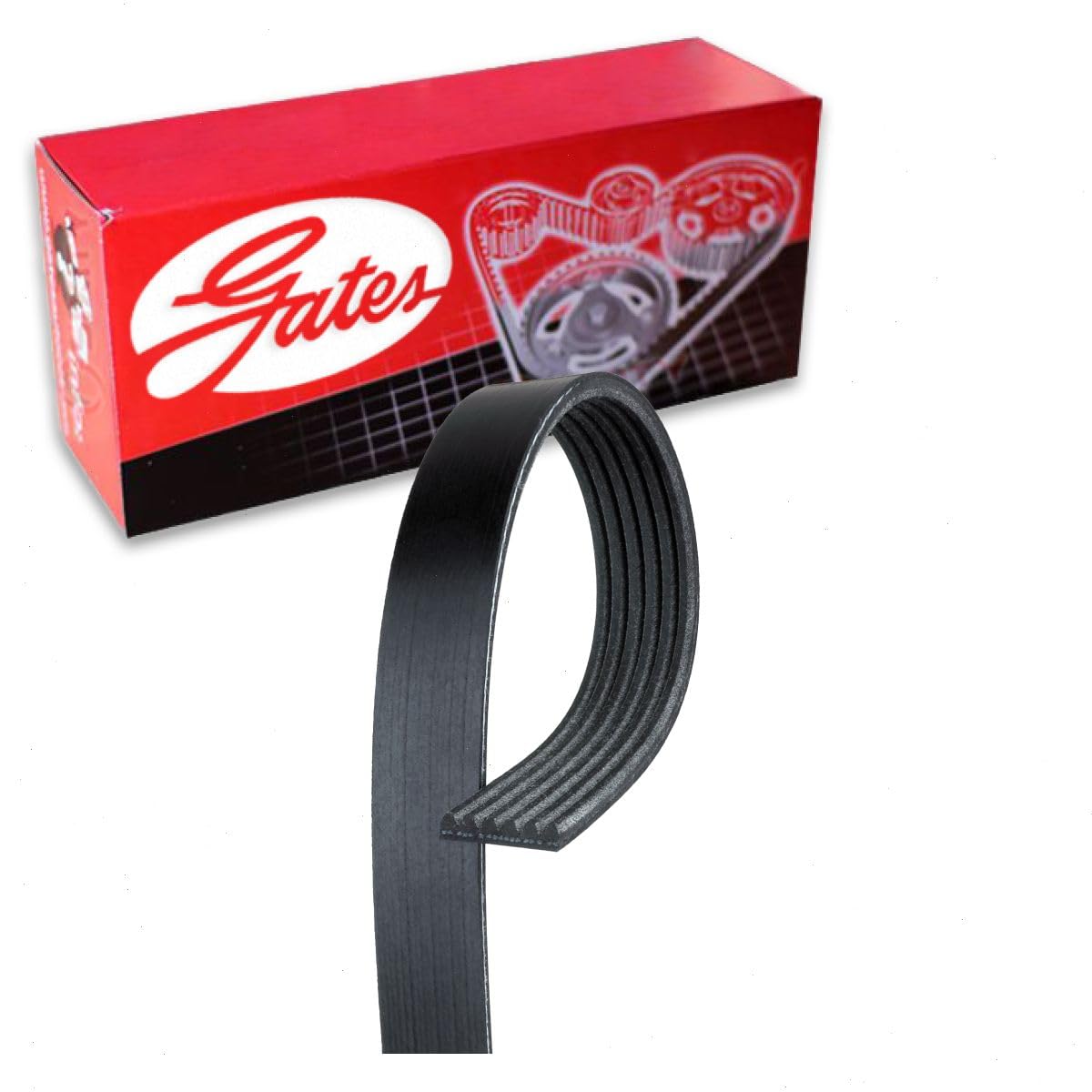 Gates Micro-V Serpentine Belt compatible with Ford Fusion 1.5L L4 2014-2020