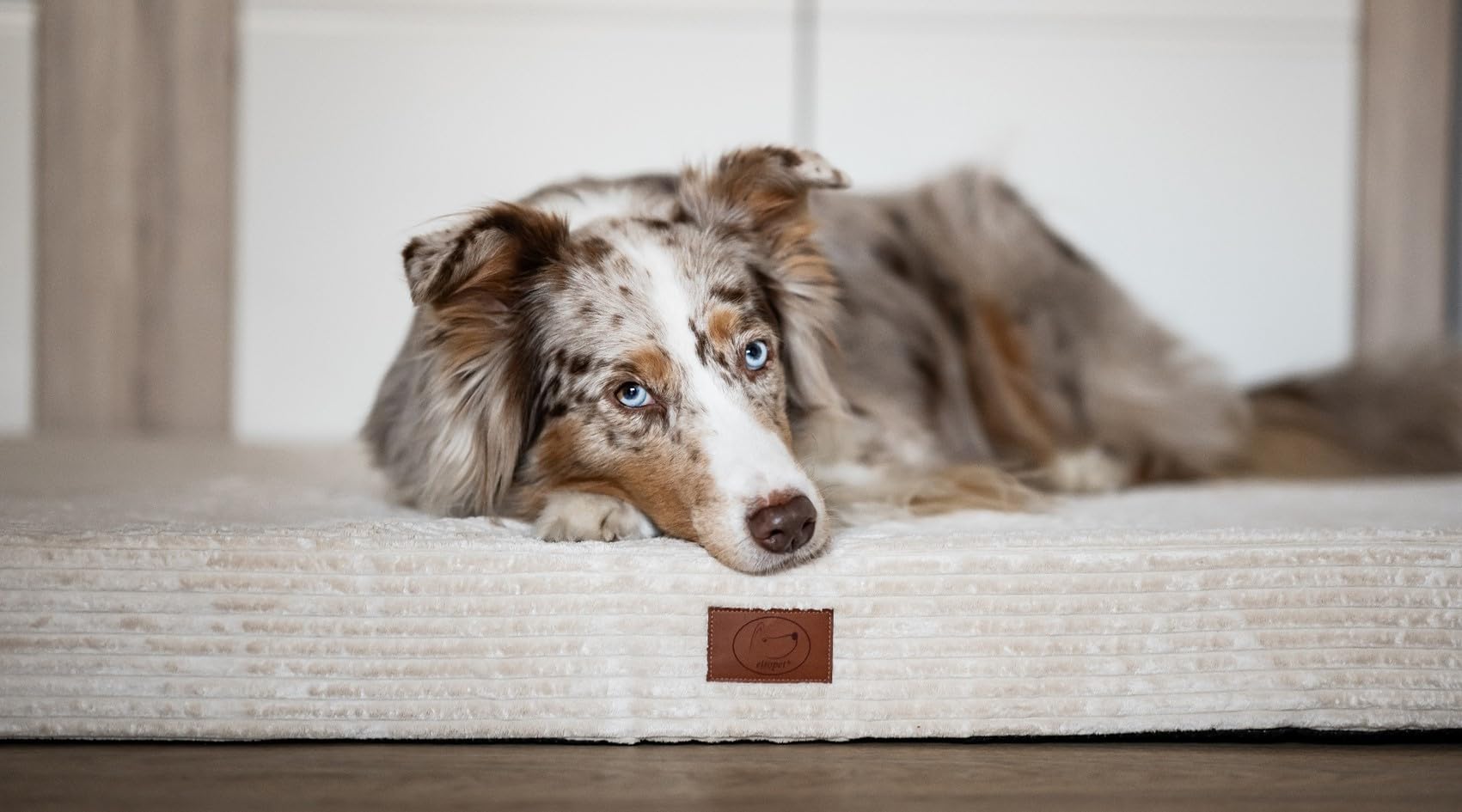 elropet Hundematte Cord orthopädisch/S, M, L, XL für alle Größen geeignet/Abziehbar und waschbar / 6 Cremeweiß, M (80x60x10cm)