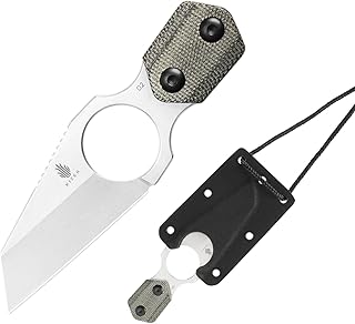 Kizer Variable Wharncliffe Fixed Blade Knife 3.43" D2 Steel Pocket Knife Micarta Handle with Sheath Neck Knife 1052A1 - Kizer