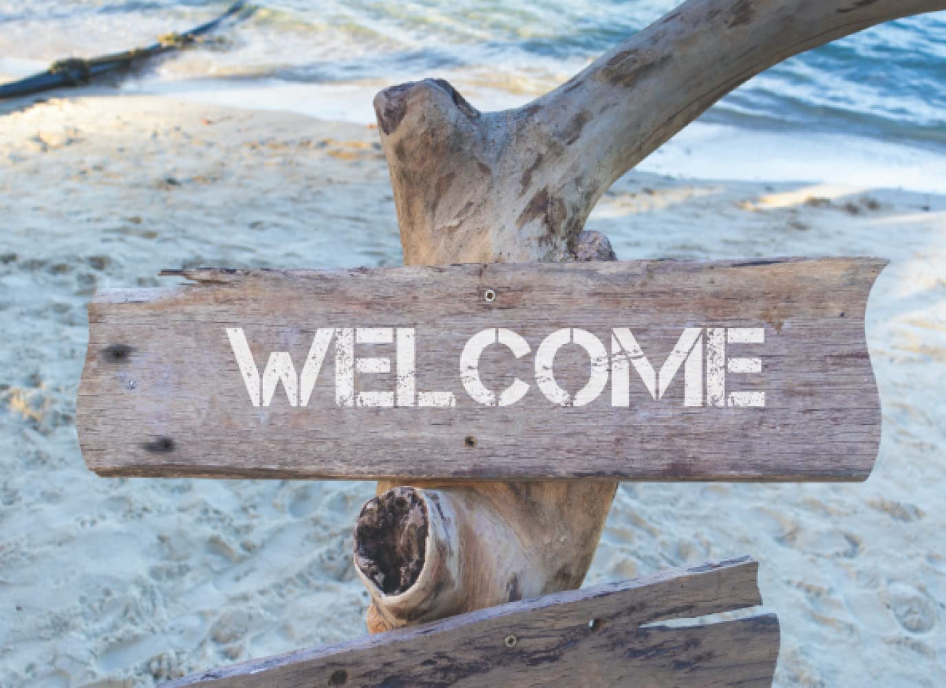 Welcome: Driftwood Beach Guest Book For Vacation Holiday Home | Guest Comments and Feedback | Holiday Let and Rentals