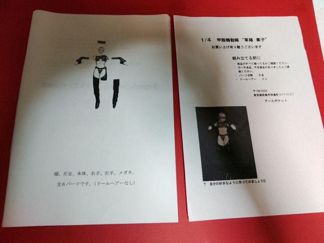 攻殻機動隊　草薙素子　ガレージキット。 海洋堂 攻殻機動隊 草薙素子II 1/6 ガレージキット レジン