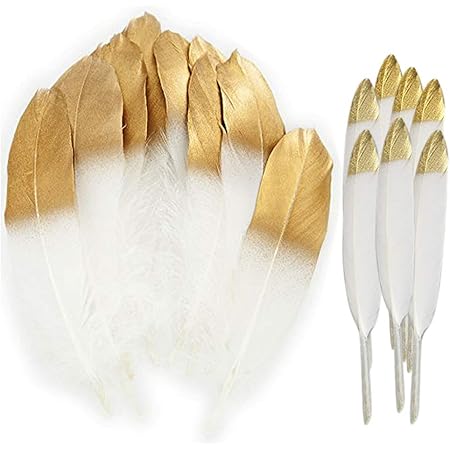 GoldRock Lot De 50 Plumes Colorées Pour Travaux Manuels - Plumes - Pour