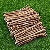 100 stks 1 0 cm Lang 0,3-0,5 cm in een diameter houten log sticks for Diy Ambachten Foto Props (houtkleur) (Color : As…