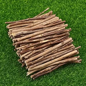 100 stks 1 0 cm Lang 0,3-0,5 cm in een diameter houten log sticks for Diy Ambachten Foto Props (houtkleur) (Color : As…