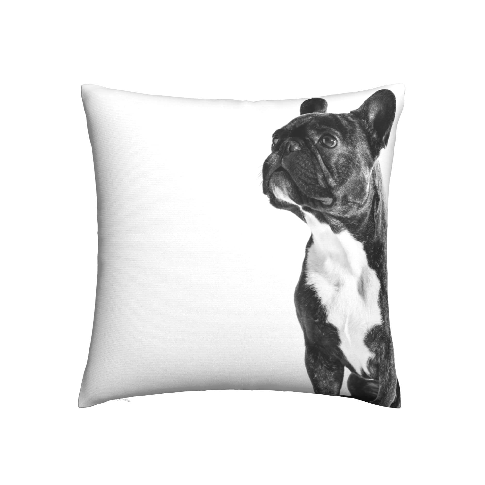 NIBABAEU Cushion Covers 1 Pcs French Bull Dog Decorative Pillow Covers 17"x17" (42X42CM) Soft Polyester Square Pillow Cases For Living Room Sofa Couch Bed Pillowcases