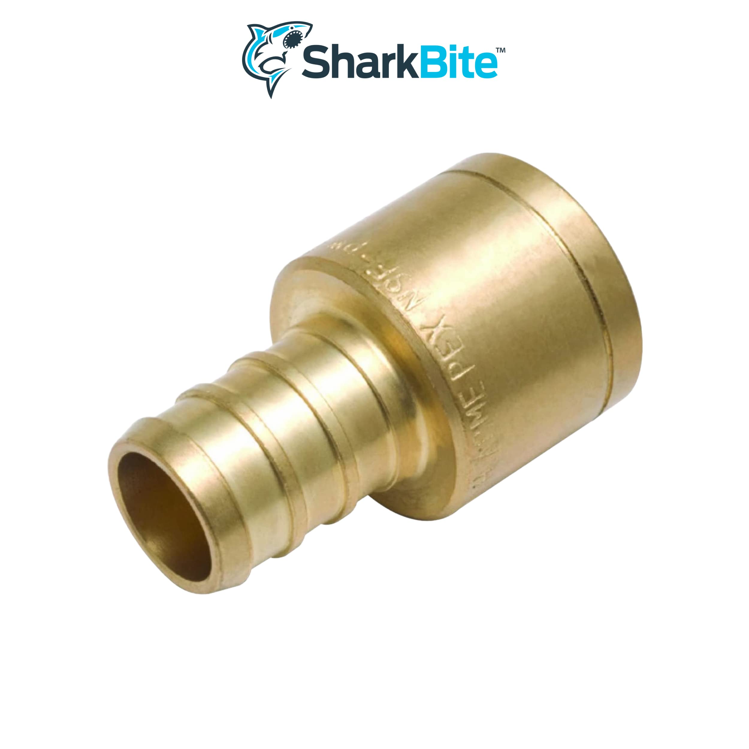 SharkBite UC606LF Adaptador de sudor hembra PEX de 3/4 pulgadas por 3/4 pulgadas, paquete de 25