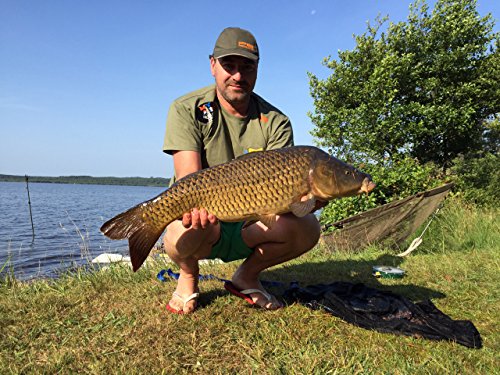 New Direction Tackle snag Bars(Blu) per K9