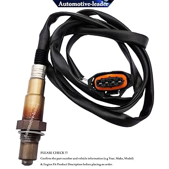 シーボン C'ores PURE ESSENCE PL&V5 Real-Zymes™ OMNIVORE Digestive Enzymes – Pure Essence Labs