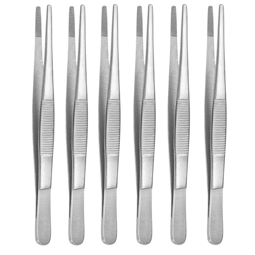 May – Set – 6 Pinzas de terrario de 13 cm de Largo – Pinzas de alimentación – Pinzas de terrario – Acabado Recto – Acero Inoxidable