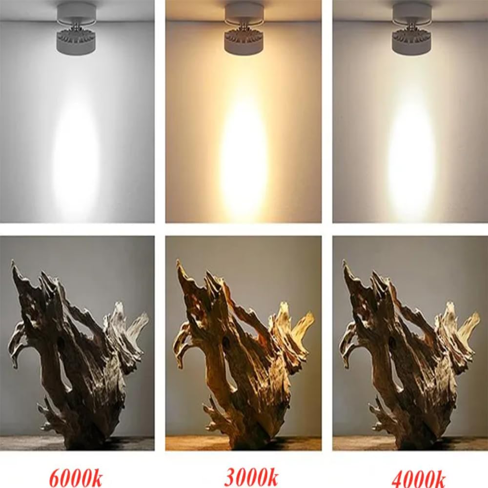 4 Stück 220V 10W LED Glühbirne Scheinwerfer Licht Aufputz Ultra dünn kreisförmig 360 Grad unten Lampe Innenraum Beleuchtung,Warm white