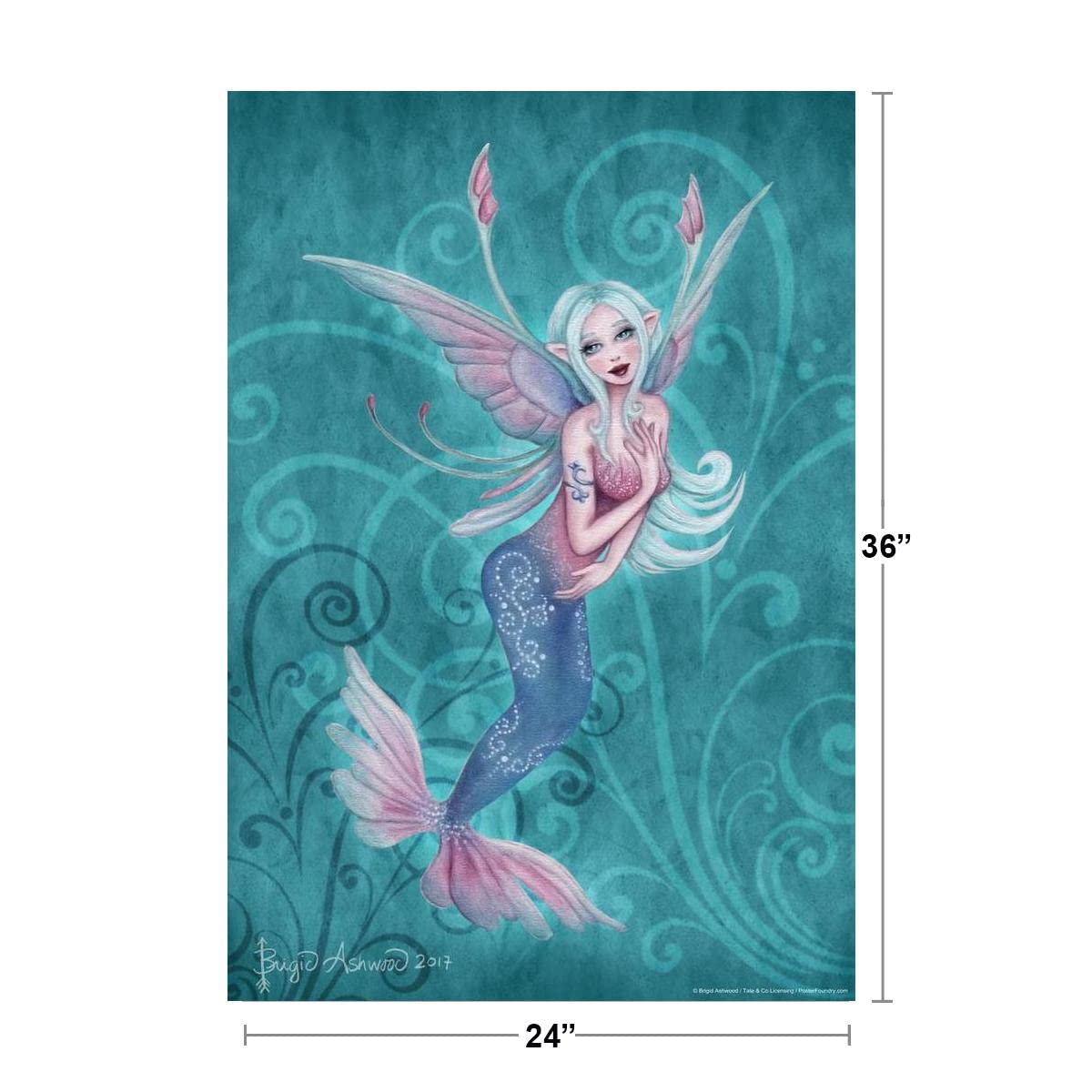 Amazon.com: Fairy Sprite Coral by Brigid Ashwood Cool Wall Art