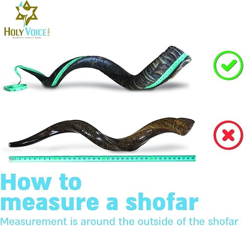 Miniatura 4 de Cuerno kosher Kudu Shofar de Israel  Shofar tradicional medio pulido yemení incluye bolsa de transporte, cepillo, spray antiolor y guía de soplado