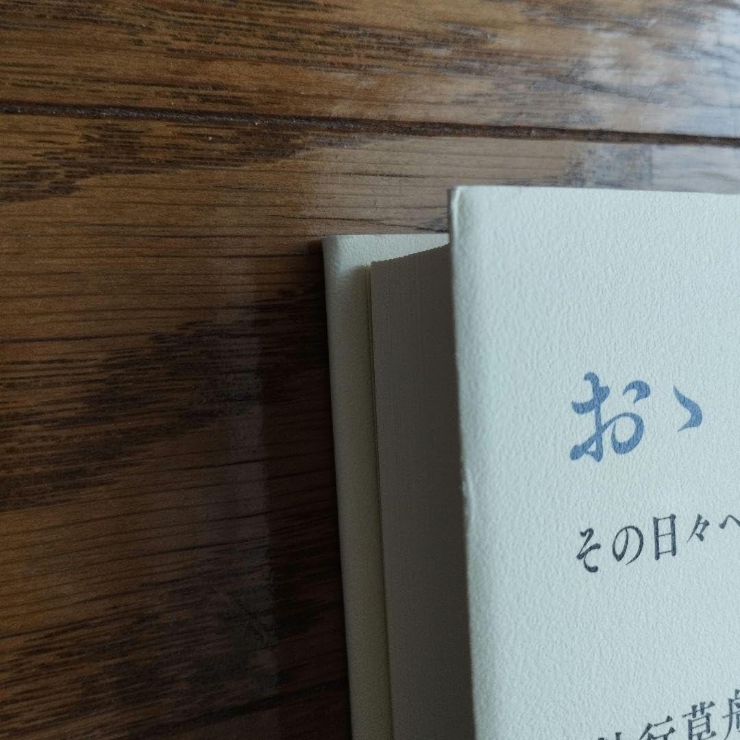 Amazon.co.jp: 初版 おゝ ポポイ! その日々へ還らむ : おもちゃ