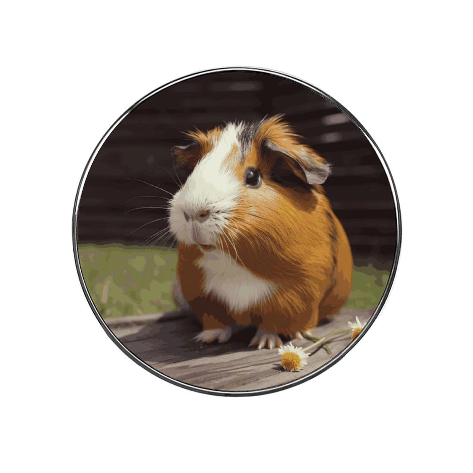 Adfgyerh Style Smiling (5) Refrigerator Magnets Circular Design，Stickers Home Decorations，Fridge Magnets For Fridge Plant Lovers Kitchen Office Locker Whiteboard Car Garage Decor.