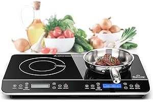 Breville Polyscience Pro Control Induction Cooker