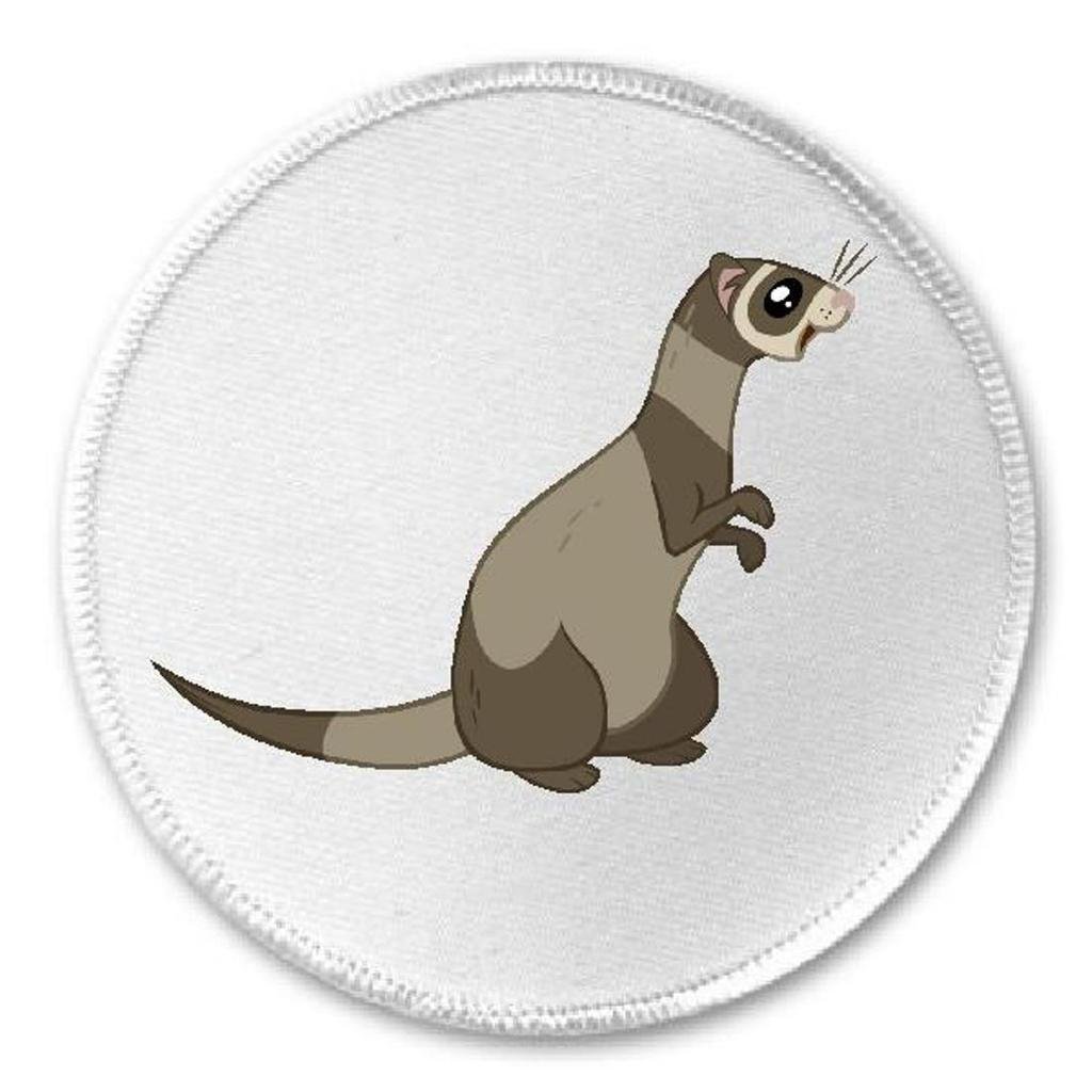 Ferret - 3
