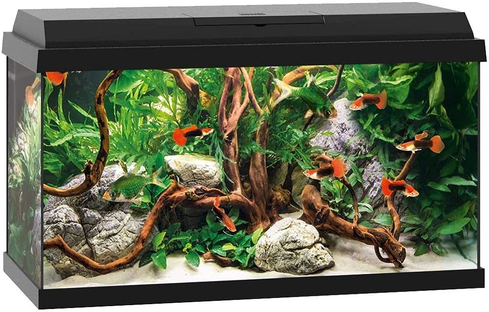 Juwel Aquarium PRIMO 60 LED, Noir, 37x61x31