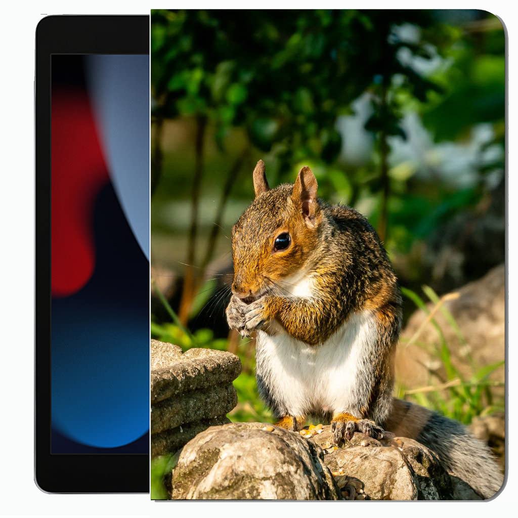 Wugao for iPad Pro 11 Case 2021 2020 2018 Case Cover