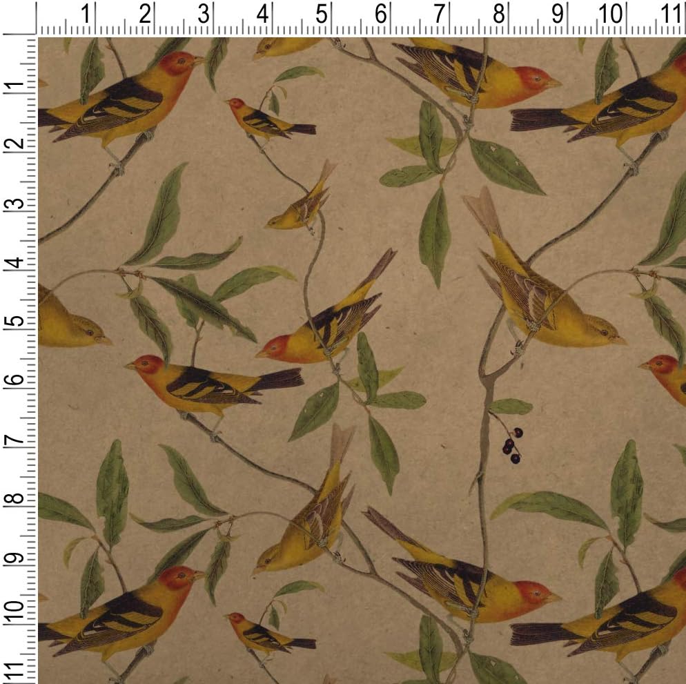 GRAPHICS & MORE Yellow Song Birds Pattern Premium Kraft Roll Gift Wrap Wrapping Paper