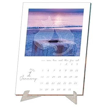 カレンダー・スケジュール sara Amazon | 2025年 sara レターカレンダー No.200 | カレンダー