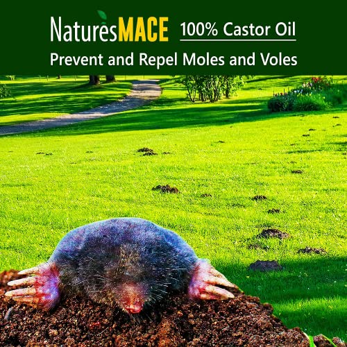 Say Goodbye to Garden Pests: Discover the Power of Nature’s Mace Mole and Vole Repellent!