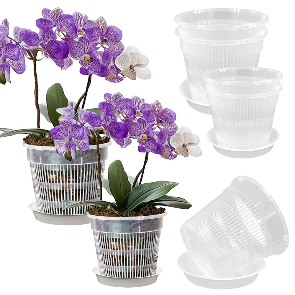 10 Pz Vasi Trasparenti per Orchidee con 10 Vassoi, 14/16cm Vaso per Orchidee in Plastica Trasparente Vasi per Orchidee Trasparenti con Foro per Drenaggio Vasi in Plastica per Piante e Rinvaso