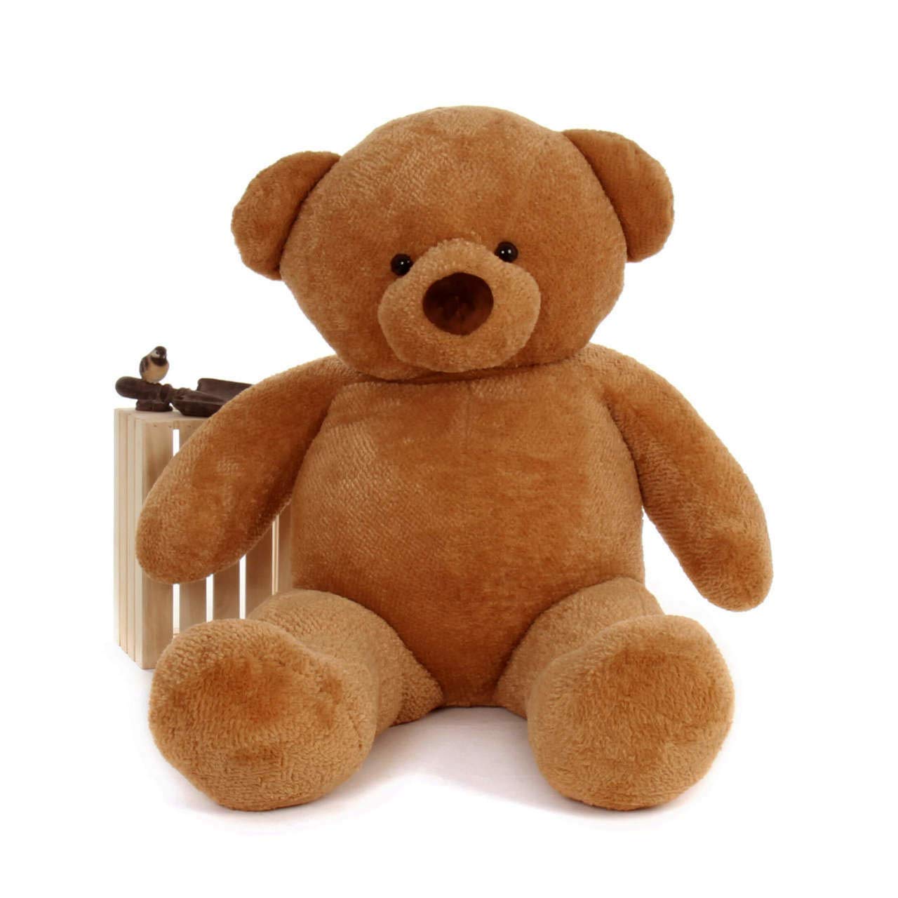 See full amazon price history chart for Brown Sunny Cuddly Super Soft and Huggable Jumbo Mocha Teddy Bear (Brown, 2 Feet 60CM) Brown Sunny Cuddly Super Soft and Huggable Jumbo Mocha Teddy Bear (Brown, 2 Feet 60CM) (B08TZZ53BJ) Amazon Price History, Amazon Price Tracker