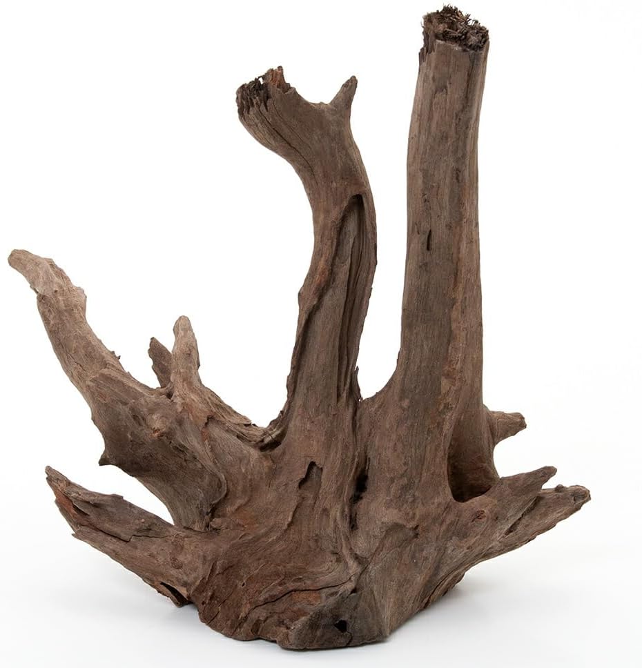 信楽焼 澤 克典作 信楽壷 高さ1尺1.5寸（約35cm） 共箱 本物保証 澤