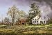 White Mountain Puzzles Precious Days Jigsaw Puzzle (1000 Piece)
