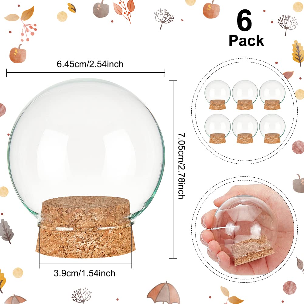 BENECREAT Set of 6 Glass Dome Lid Decorative Display Jars 2.5x2.7