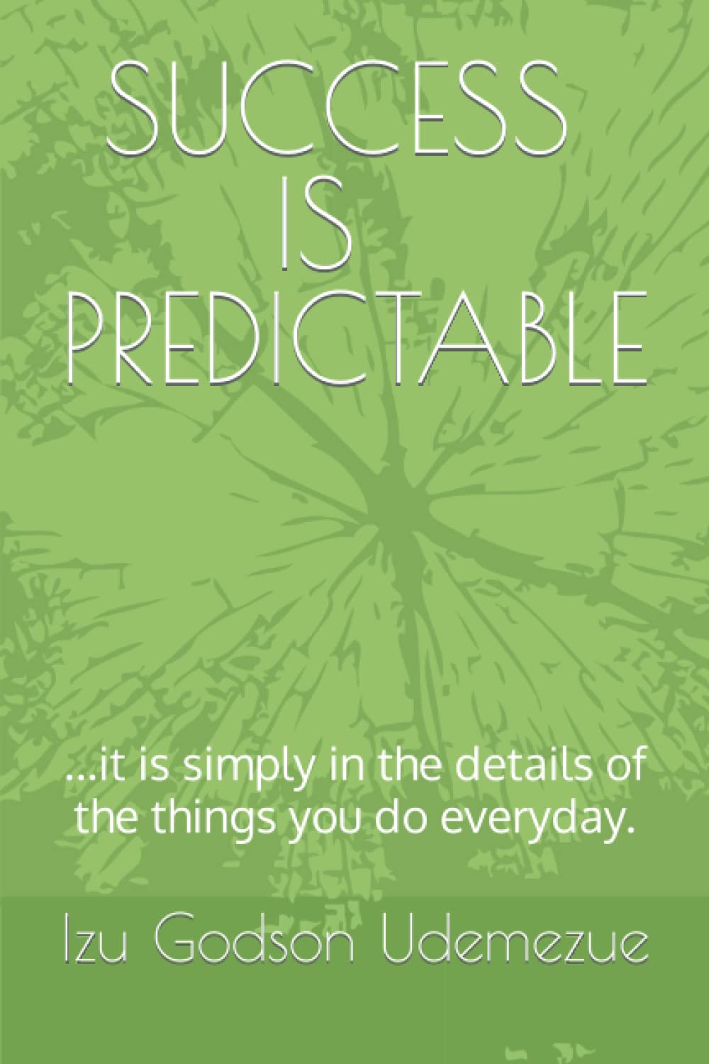 SUCCESS IS PREDICTABLE: ...it is simply in the details of the things you do everyday.