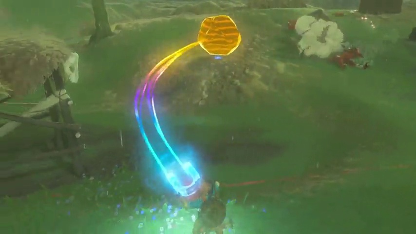 Amazon.com: The Legend of Zelda: Breath of the Wild Special